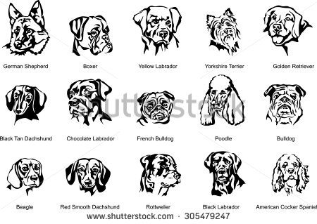 The Face Of A Dog, Breed Dog, Vector The Image Of A Dog Face, Dog 450x319 The Face Of A Dog, Breed Dog, Vector The Image Of A Dog Face, Dog