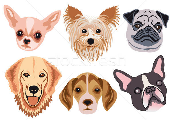 Dog Faces, Vector Vector Illustration Beaubelle 600x420 Dog Faces, Vector Vector Illustration Beaubelle
