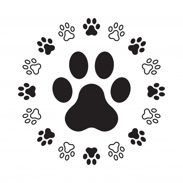 626x626 Dog Paw Footprint Vector Premium Download