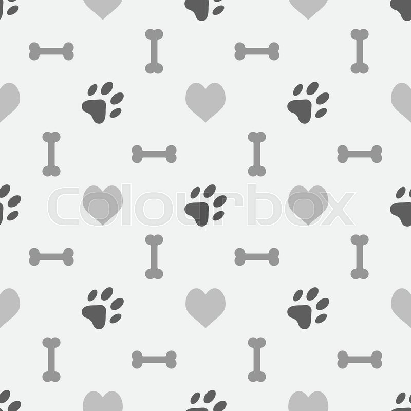 800x800 Minimal Gray Background With Dog Stock Vector Colourbox