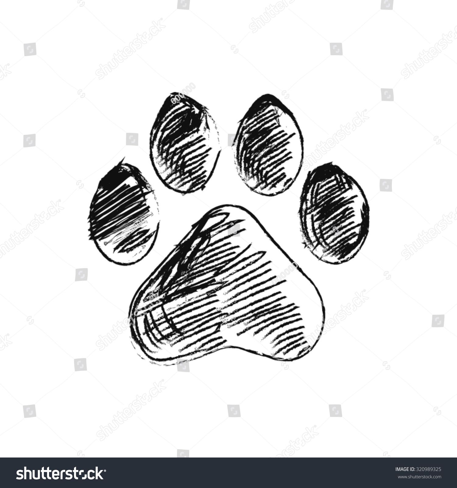 1500x1600 Hand Drawn Doodle Of Animal Footprint, Vector Illustration All