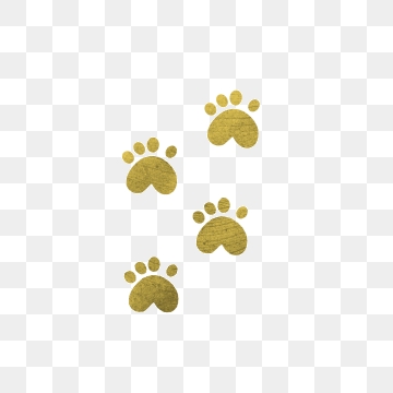 360x360 Dog Footprint Png, Vector, And Clipart With Transparent