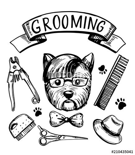 Dog Grooming Set Hand Drawn Vector Stock Image And Royalty Free 435x500 Dog Grooming Set Hand Drawn Vector Stock Image And Royalty Free