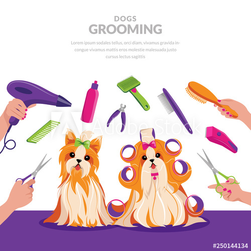 Dog Grooming Vector Cartoon Illustration Pets Care Concept Cute 500x500 Dog Grooming Vector Cartoon Illustration Pets Care Concept Cute