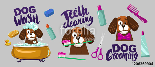Dog Grooming Set Of Vector Cartoon Objects Stock Image 500x217 Dog Grooming Set Of Vector Cartoon Objects Stock Image