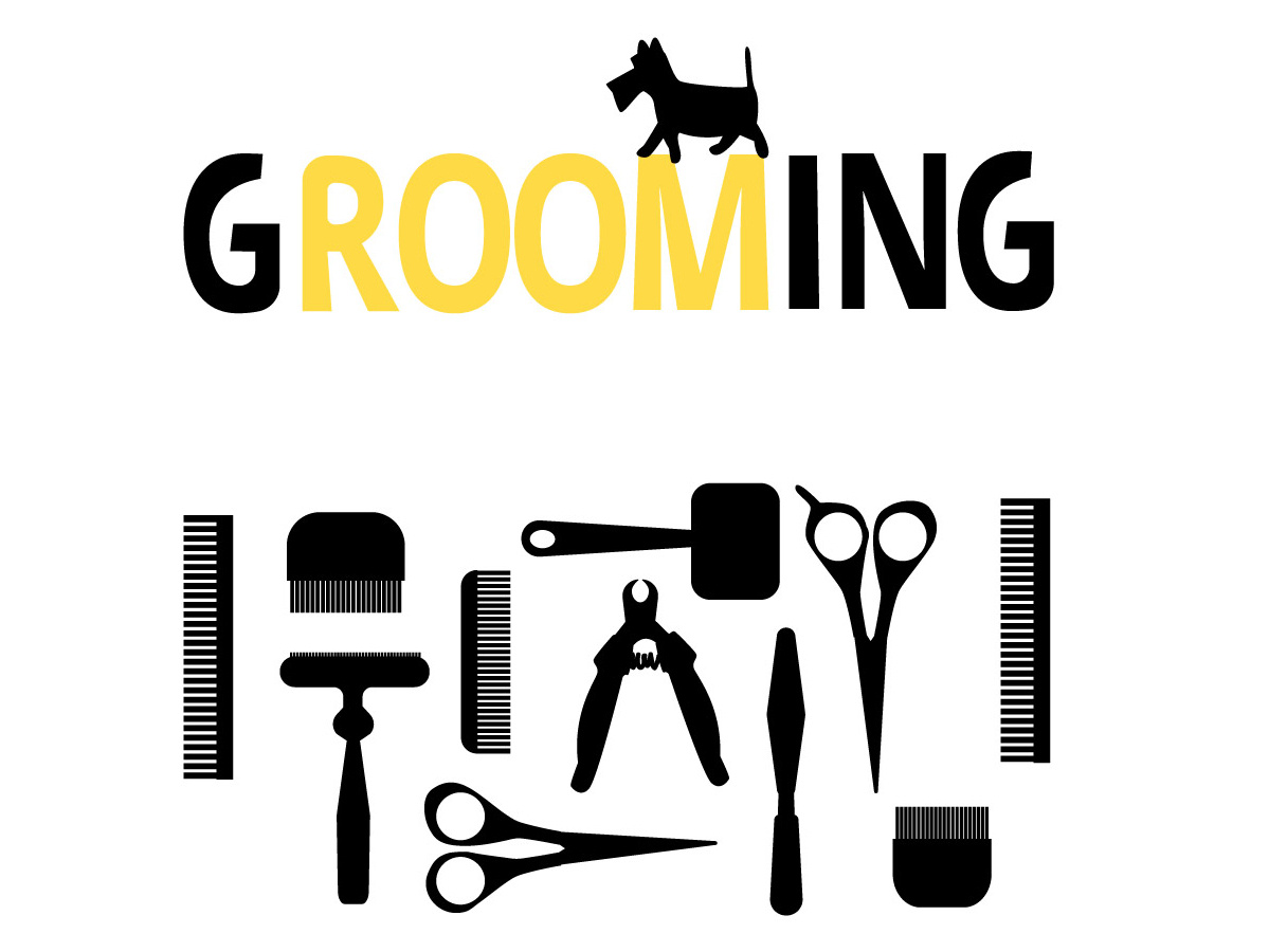 Groomingroom 1199x900 Groomingroom