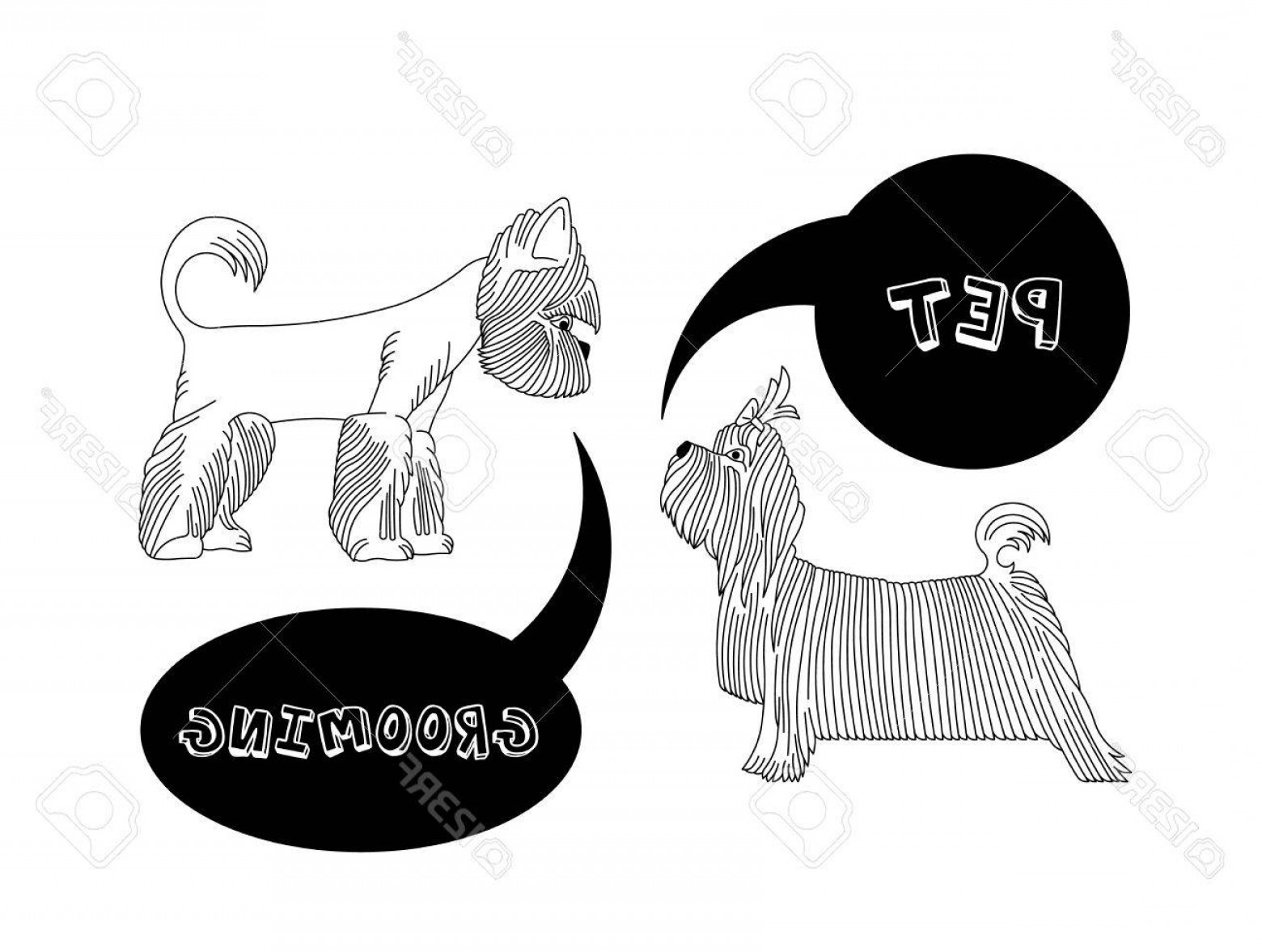 Vector Dog Grooming Cultracing 1560x1177 Vector Dog Grooming Cultracing