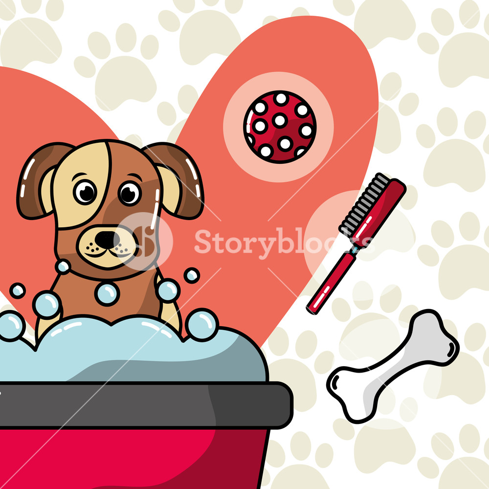 1000x1000 Dog Washing In Bath Pet Grooming And Care Vector Illustration