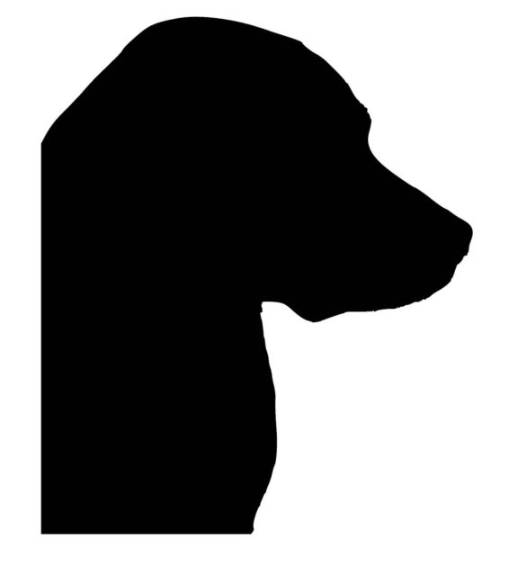 Collection Of 'labrador Head Silhouette' Download More Than 586x640 Collection Of 'labrador Head Silhouette' Download More Than