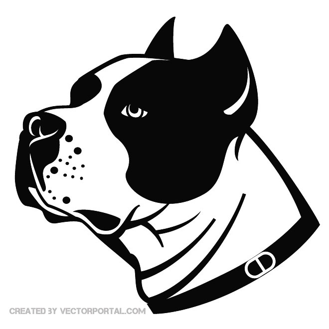 Stafford Dog Illustration Free Vector 660x660 Stafford Dog Illustration Free Vector