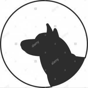 Stock Photo Silhouette Of A Dog Head Siberian Husky Companion 300x300 Stock Photo Silhouette Of A Dog Head Siberian Husky Companion