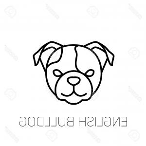 Photostock Vector English Bulldog Linear Face Icon Isolated 300x300 Photostock Vector English Bulldog Linear Face Icon Isolated