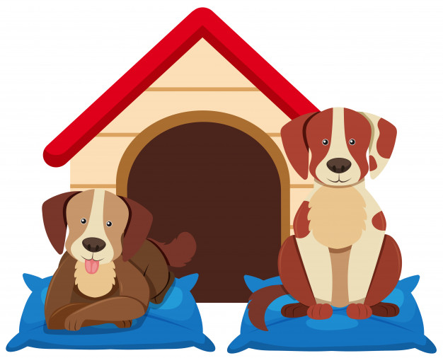 Two Cute Dogs 626x506 Two Cute Dogs