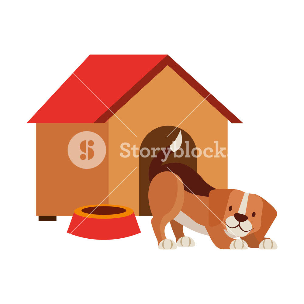 Dog House And Bowl Pet Shop Vector Illustration Royalty Free Stock 1000x1000 Dog House And Bowl Pet Shop Vector Illustration Royalty Free Stock