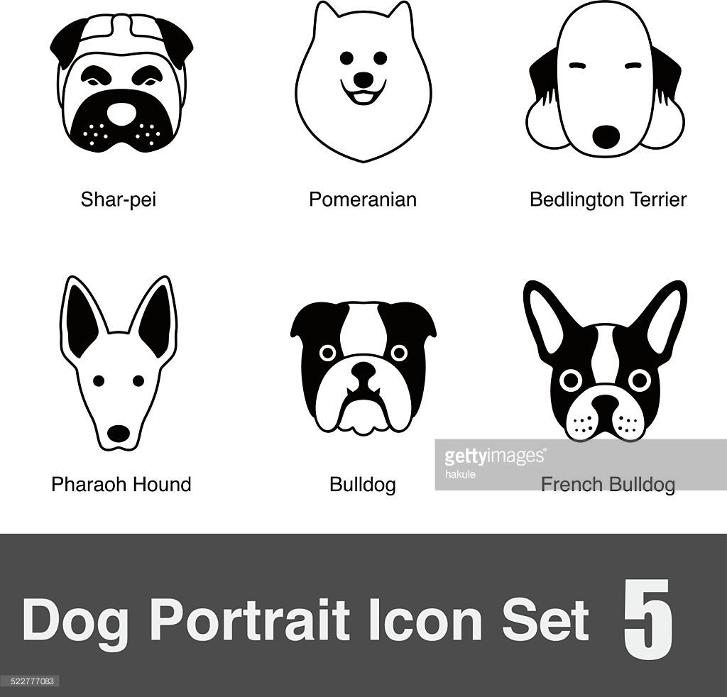 1024x982 Dog Face Icon Design Series Templates, Icons, Dingbats Fonts