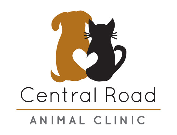 570x433 Dog And Cat Logo