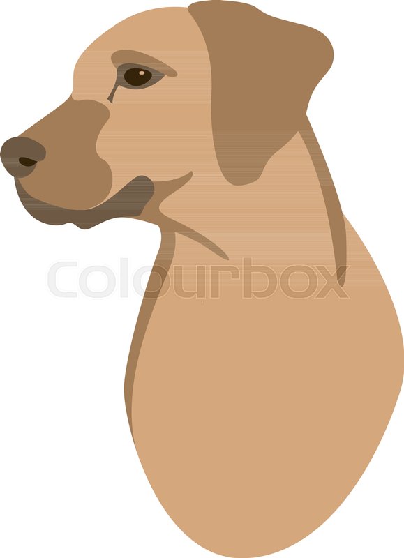 Dog Face Vector Illustration Flat Stock Vector Colourbox 579x800 Dog Face Vector Illustration Flat Stock Vector Colourbox