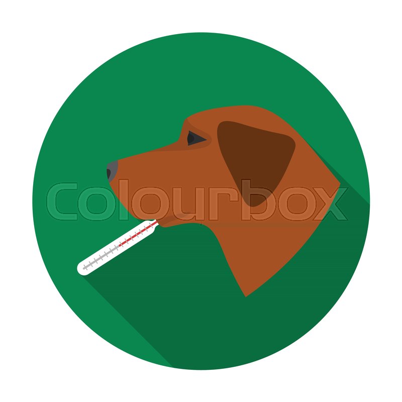 Dog With Thermometer Icon In Flat Stock Vector Colourbox 800x800 Dog With Thermometer Icon In Flat Stock Vector Colourbox