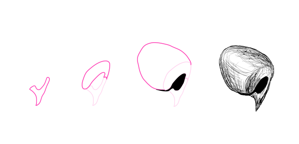 How To Draw Animals Dogs And Wolves, And Their Anatomy 600x290 How To Draw Animals Dogs And Wolves, And Their Anatomy