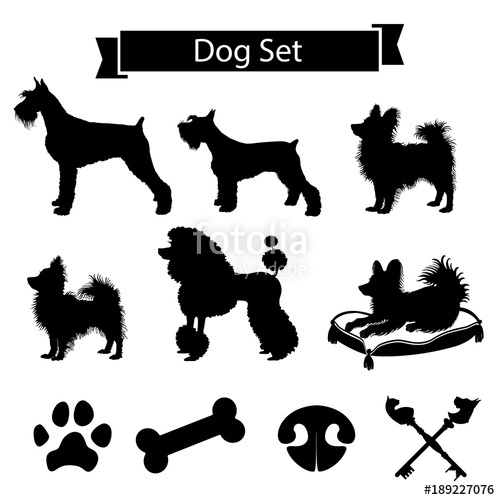 Set Of Dog Related Images Riesenschnauzer, Zwergschnauzer 500x500 Set Of Dog Related Images Riesenschnauzer, Zwergschnauzer