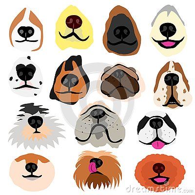 Various Dogs Nose Part Set, With Tongue, Mustache, Teeth Appearing 400x400 Various Dogs Nose Part Set, With Tongue, Mustache, Teeth Appearing