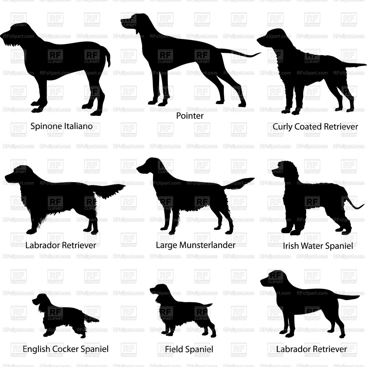 1200x1200 Dog Silhouette Set Vector Image Of Silhouettes, Outlines
