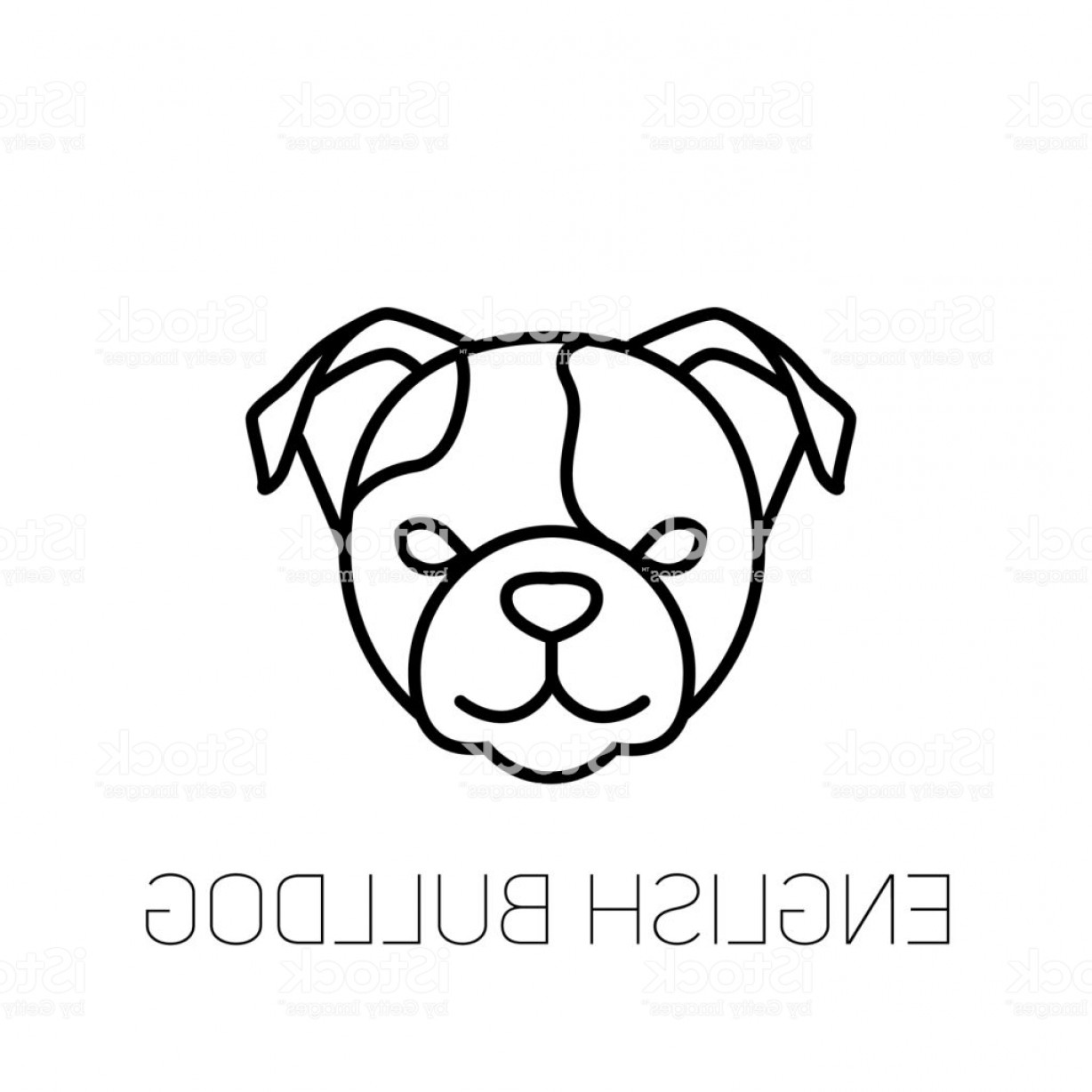 1228x1228 English Bulldog Linear Face Icon Isolated Outline Dog Head Vector