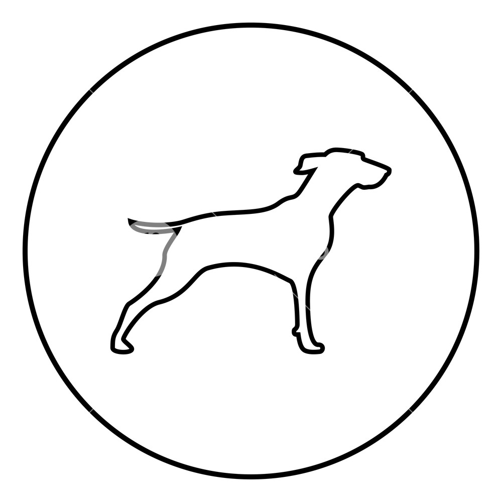 1000x1000 Hunter Dog Or Gundog Icon Outline In Circle Black Color Vector