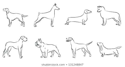 520x280 Dog Outline