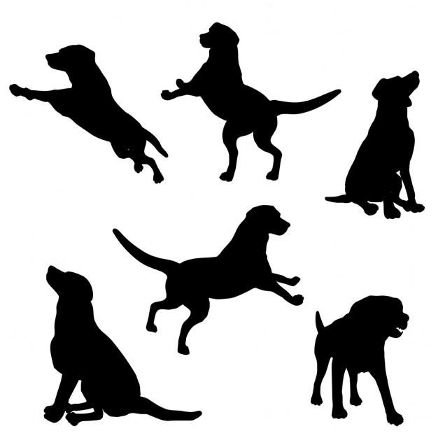 626x626 Dog Silhouette Vectors, Photos And Free Download
