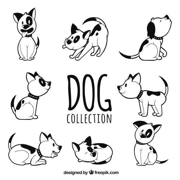 626x626 Dog Vectors, Photos And Free Download