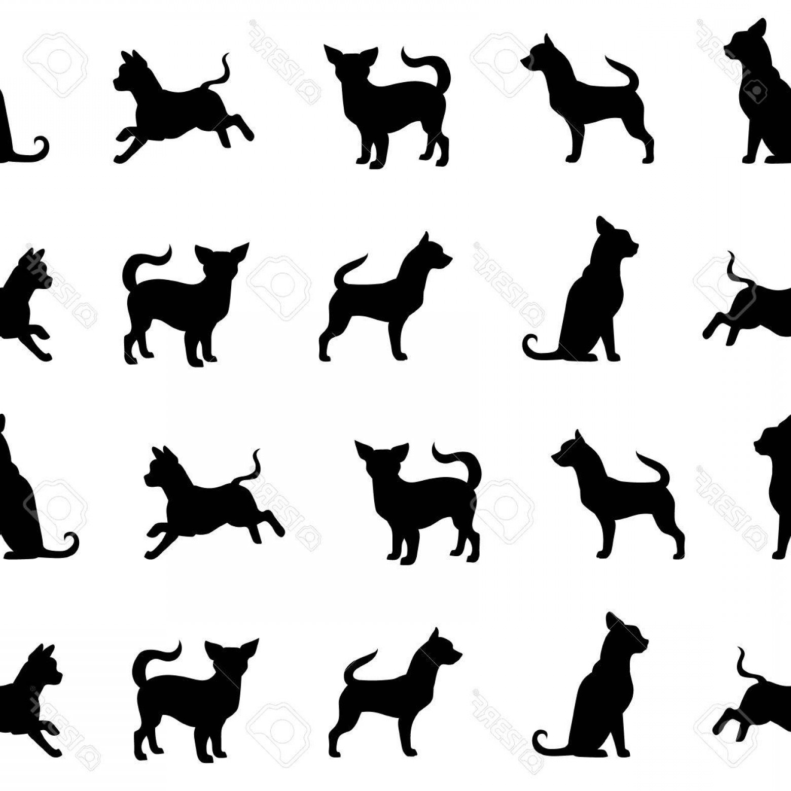 Photostock Vector Vector Chihuahua Small Dog Pattern Animals 1560x1560 Photostock Vector Vector Chihuahua Small Dog Pattern Animals