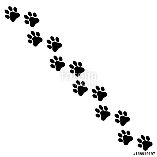 Dog Paw Print Paw Icon Stock Vector Stock Image And Royalty 500x500 Dog Paw Print Paw Icon Stock Vector Stock Image And Royalty