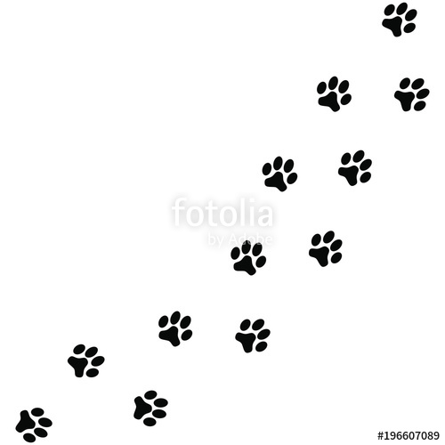 Black Dog Paw Prints Isolated On White Background Vector 500x500 Black Dog Paw Prints Isolated On White Background Vector