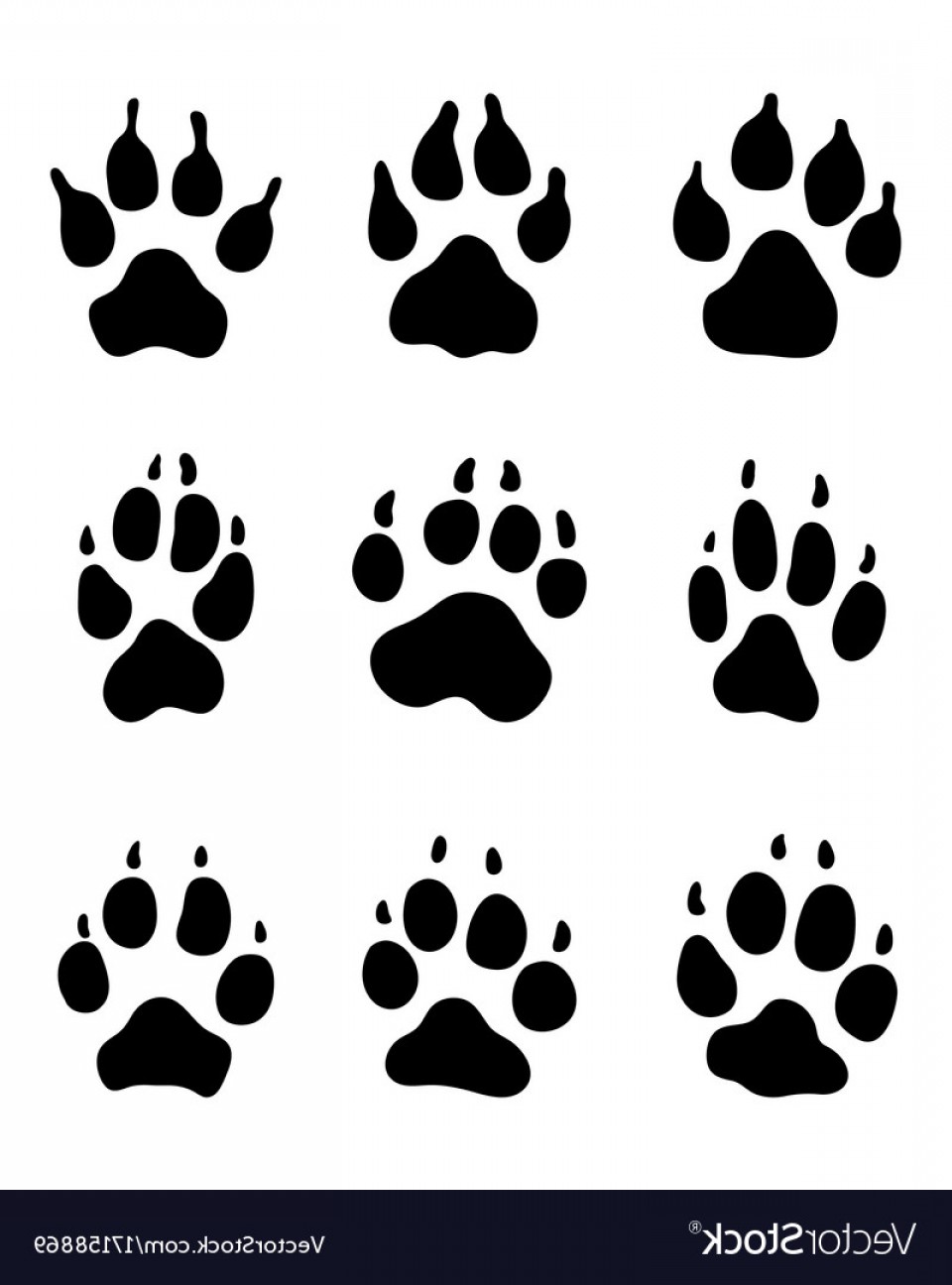 960x1296 Dog Paw Print Vector Art Catchsplace