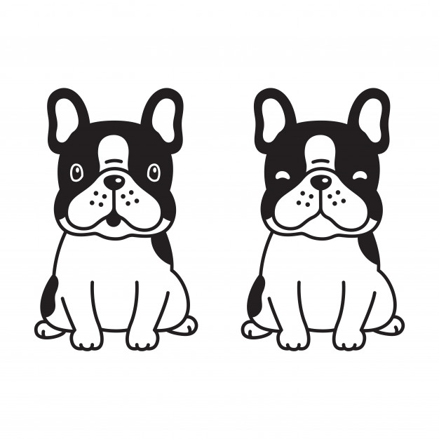 626x626 Dog Paw Vector French Bulldog Cartoon Vector Premium Download