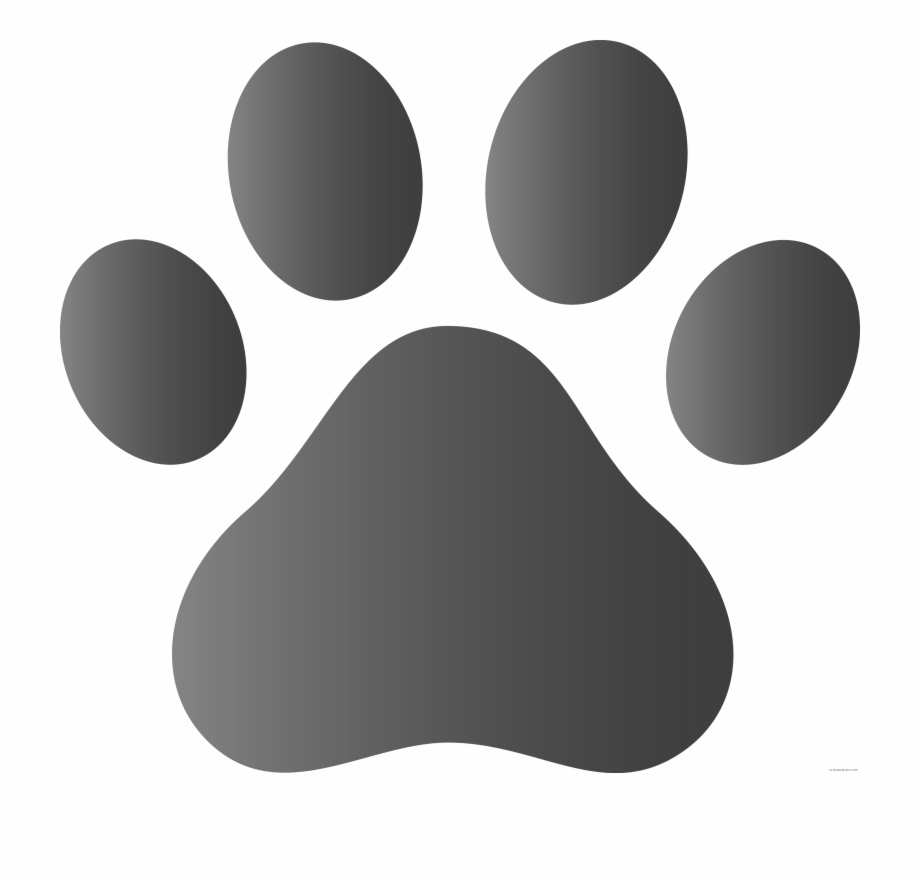 920x883 Paw Vector Logo