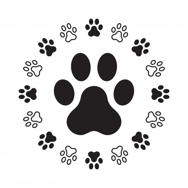 626x626 Paw Vectors, Photos And Free Download
