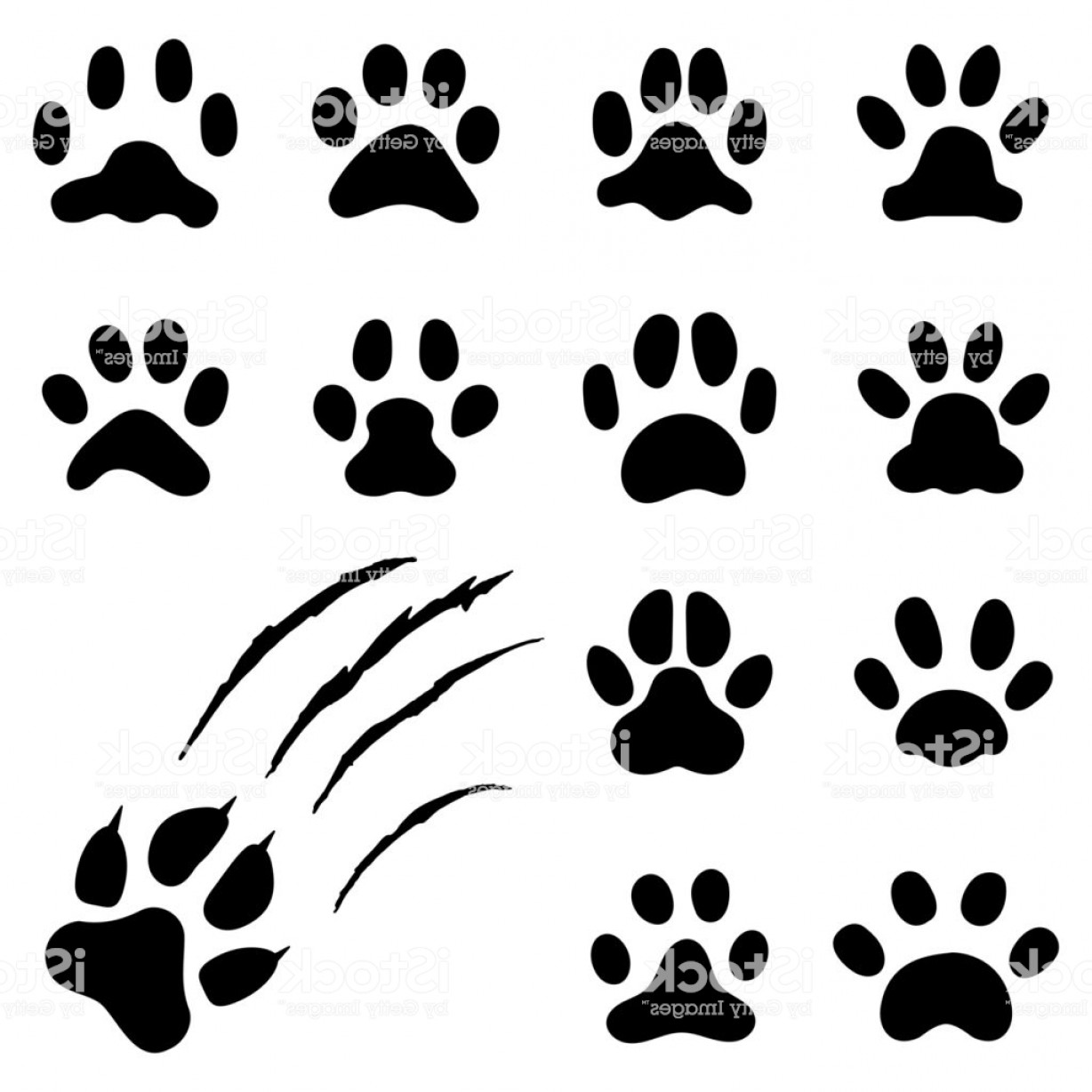 1228x1228 Pets Paw Vector Studiogrfx