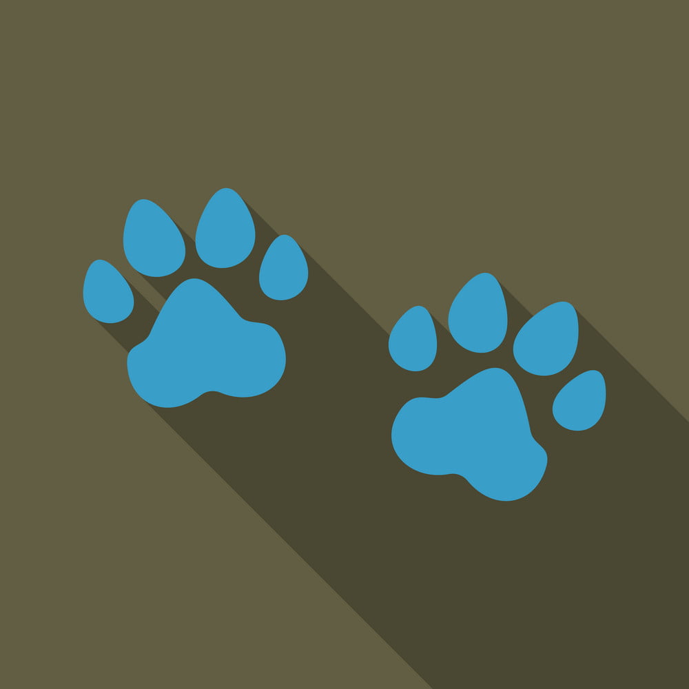 Animal Footprint Isolated On Background Dog Paw Vector 1000x1000 Animal Footprint Isolated On Background Dog Paw Vector