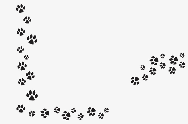 Vector Dog Claw, Pet, Dog Paw, Dog Claw Vector Png And Vector 650x427 Vector Dog Claw, Pet, Dog Paw, Dog Claw Vector Png And Vector