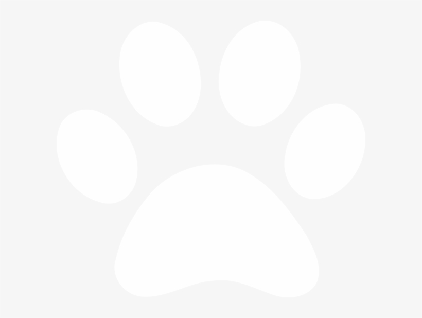White Dog Paw Vector Png Image Transparent Png Free Download 820x618 White Dog Paw Vector Png Image Transparent Png Free Download
