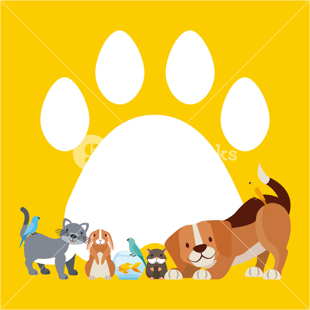 Dog Cat Rabbit Hamster Paw Vector Illustration Royalty Free Stock 1000x1000 Dog Cat Rabbit Hamster Paw Vector Illustration Royalty Free Stock
