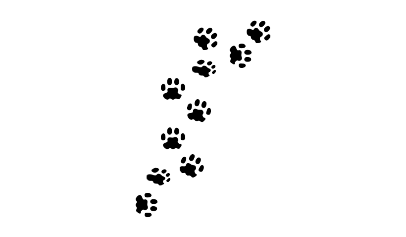 Paw Print Dog Prints Clip Art Free Vector Patitas De Perros Png 820x478 Paw Print Dog Prints Clip Art Free Vector Patitas De Perros Png