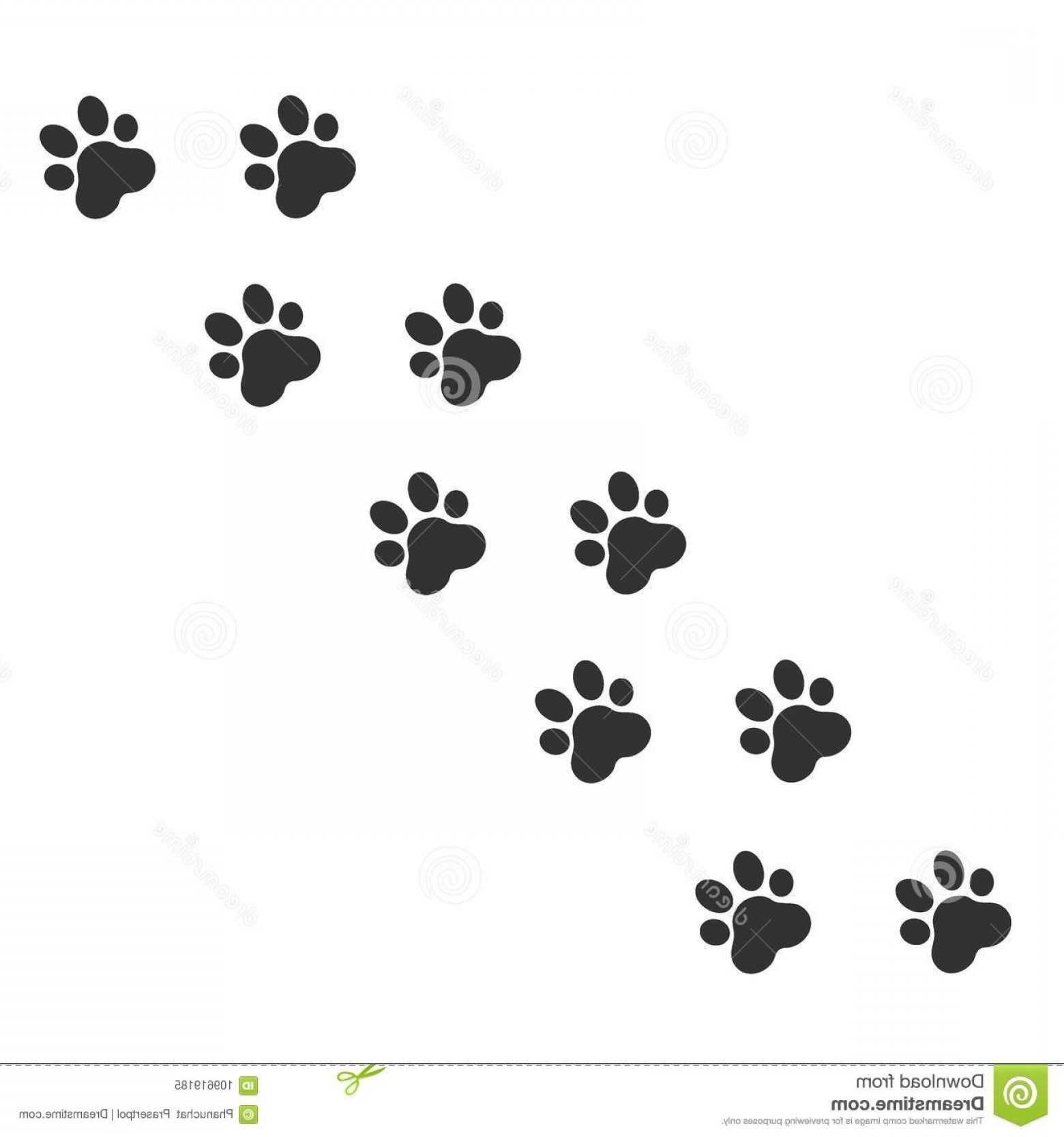 1560x1668 Paw Print Vector Illustration Paw Print Animal Paw Print Vector
