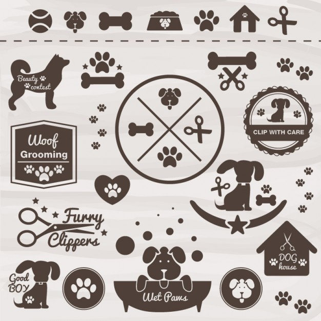 Paw Print Vectors, Photos And Free Download 626x626 Paw Print Vectors, Photos And Free Download