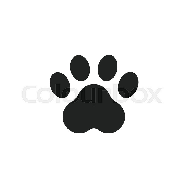 Paw Print Vector Icon Dog Or Cat Stock Vector Colourbox 800x800 Paw Print Vector Icon Dog Or Cat Stock Vector Colourbox