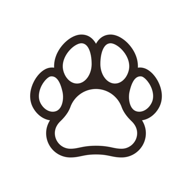 Wondrous Paw Prints Clip Art Stylist Top Dog Print Vector 612x612 Wondrous Paw Prints Clip Art Stylist Top Dog Print Vector