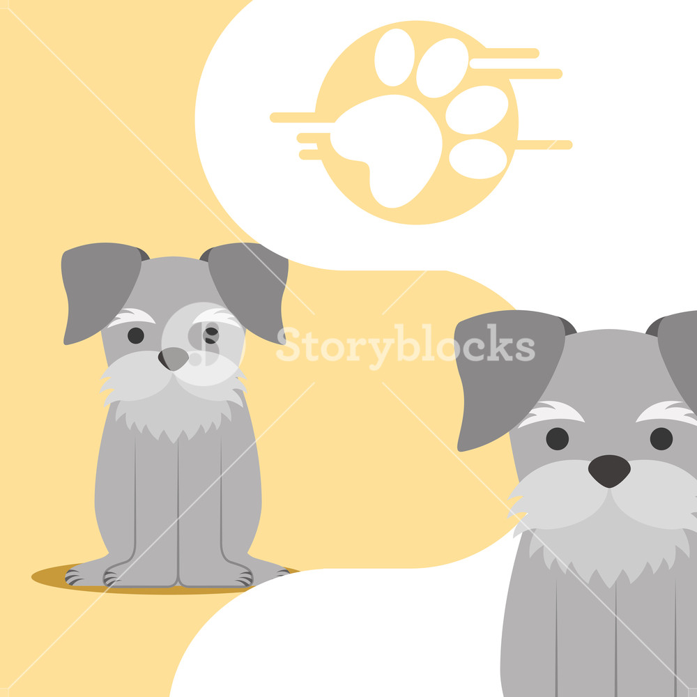 Cute Pair Dogs Sitting And Paw Print Vector Illustration Royalty 1000x1000 Cute Pair Dogs Sitting And Paw Print Vector Illustration Royalty