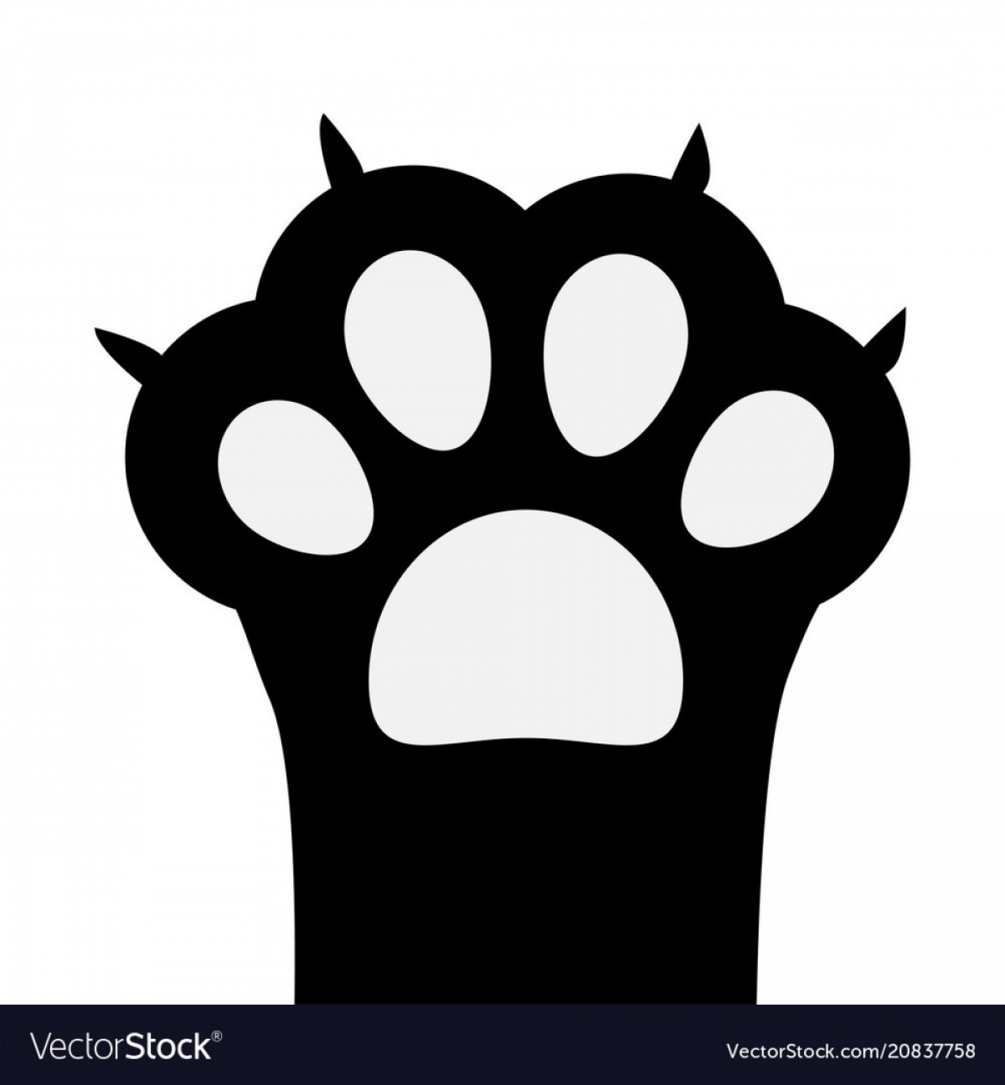 Big Black Cat Paw Print Leg Foot With Nail Claw Vector Sarahgardan 1440x1555 Big Black Cat Paw Print Leg Foot With Nail Claw Vector Sarahgardan